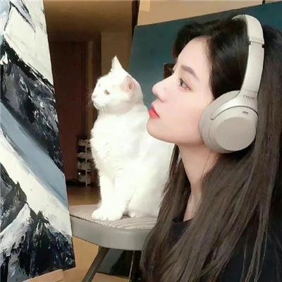 猫目小僧